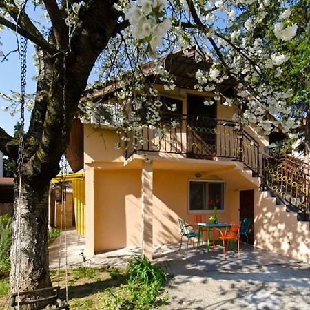 Cherry Tree Art House Belgrado Exterior foto
